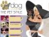 Dog Code- The pet style